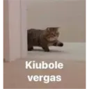 Animales 27