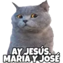 Animales3 11