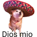 Animales3 19