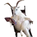 Animales3 2