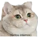 Animales3 20