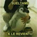 Animales3 9