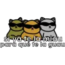 8
si ya tę la miau
para qué te la guau