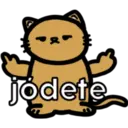 &
X
jodete