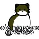 oie no seas
grosero