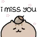 Cute Pets 27
