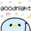 Cute Pets 8