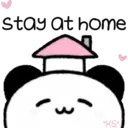 Cute Pets 19