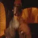 [Mad Max][]Mov 20