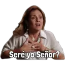 avenida brasil 29