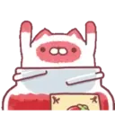 Jamese cat 27