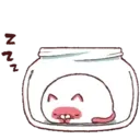 Jamese cat 14