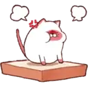 Jamese cat 9