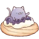 Jamese cat 13