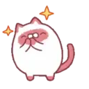 Jamese cat 10