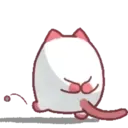 Jamese cat 7