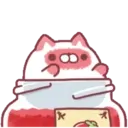 Jamese cat 17