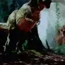 Dinosaurs 8