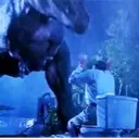 Dinosaurs 15
