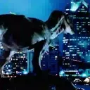 Dinosaurs 14