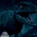 Dinosaurs 25