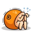 Caracol bebê 16