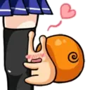 Caracol bebê 12
