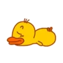 Yellow duckling 16