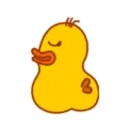 Yellow duckling 9