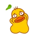 Yellow duckling 5