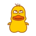 Yellow duckling 13