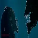 Aliens Vs Predator 30