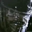 Aliens Vs Predator 23