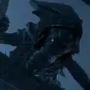 Aliens Vs Predator 13