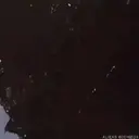 Aliens Vs Predator 21