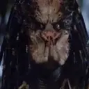 Aliens Vs Predator 27