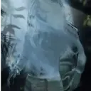 Aliens Vs Predator 5
