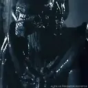 Aliens Vs Predator 26