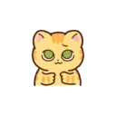 Mini orange kitty 20