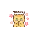 Mini orange kitty 10