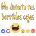Me divierte tus
horribles cejas
O