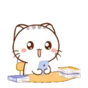 Wen, the small meow Mov 22