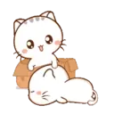 Wen, the small meow Mov 5