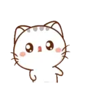 Wen, the small meow Mov 24