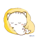 Wen, the small meow Mov 6