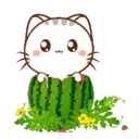 Wen, the small meow Mov 13