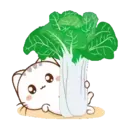 Wen, the small meow Mov 15