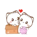 Wen, the small meow Mov 16