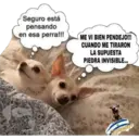 vivan los tacos de tripa! 26