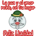 Mi Navidad Cute 17